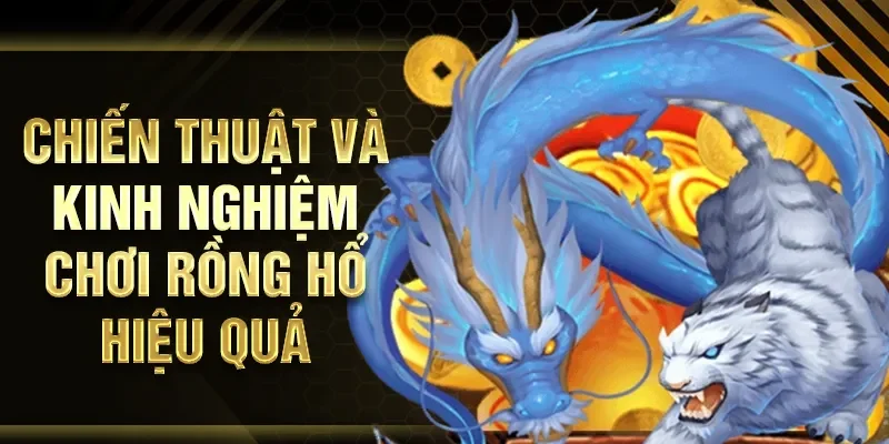 Chiến thuật và kinh nghiệm chơi Rồng Hổ hiệu quả