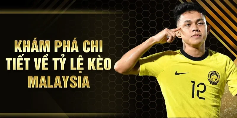 Khám phá chi tiết về tỷ lệ kèo Malaysia