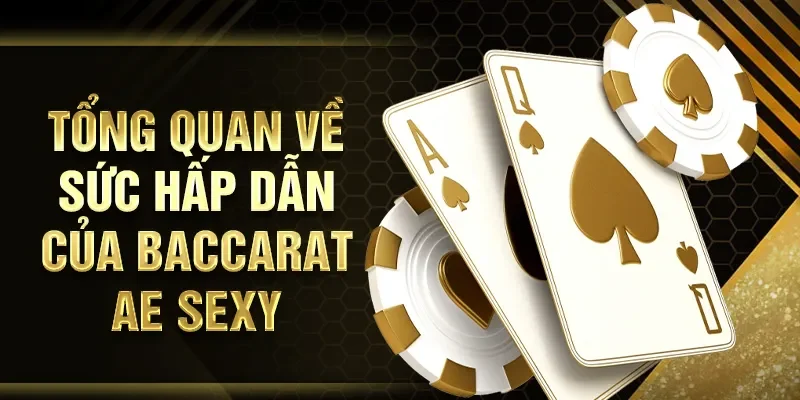 Tổng quan về sức hấp dẫn của Baccarat AE SEXY